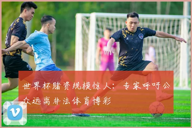 世界杯赌资规模惊人：专家呼吁公众远离非法体育博彩