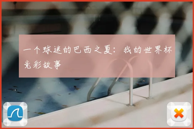 一个球迷的巴西之夏:我的世界杯竞彩故事